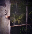 dailyPhoto6